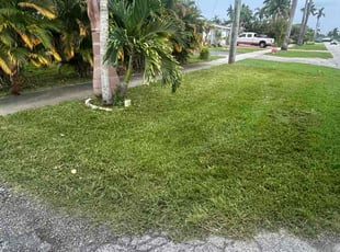 George W.'s grass maintenance service result