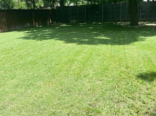 Virginia K.'s turf care service result
