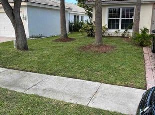 Randolph P.'s grass cutting service result