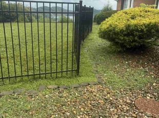 Gladys C.'s lawn maintenance service result