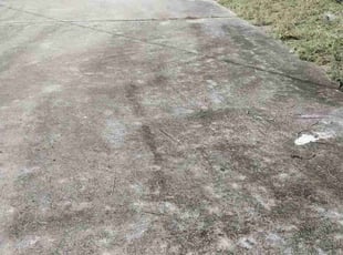 Alex C.'s turf maintenance service result