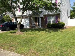 Alexandra T.'s yard maintenance service result