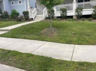 Eunice D.'s Bush Trimming service result