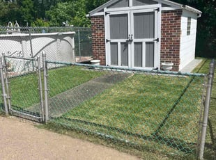 Michael M.'s turf maintenance service result