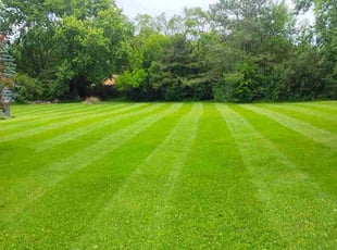 Ana R.'s turf care service result