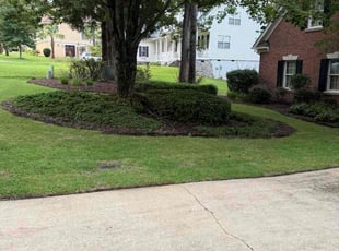 Robert K.'s Leaf Removal service result