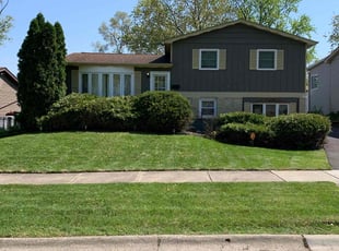 Carol W.'s turf care service result