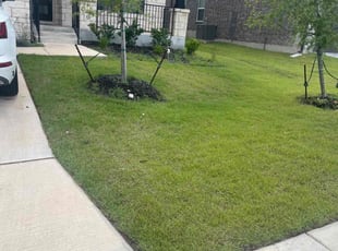 Derrick M.'s turf care service result