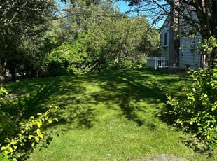 Cheryl T.'s lawn care service result