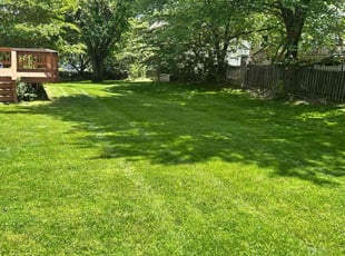 Damani B.'s lawn care services service result