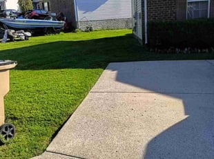 Miguel M.'s grass cutting service result