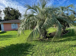 Jefferson L.'s lawn care services service result