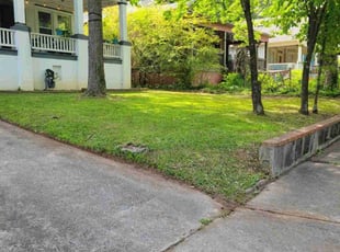 Pamela F.'s lawn service service result