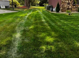 Austin B.'s lawn maintenance service result