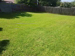 Marcella G.'s grass cutting service result