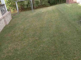 Christine M.'s lawn care service result