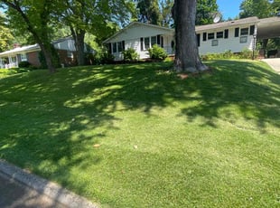 Sharnetta R.'s lawn service service result