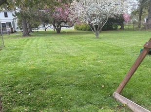 Gail B.'s lawn care services service result