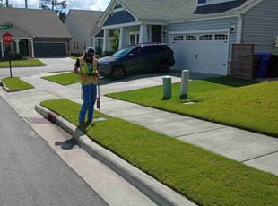 Kat S.'s grass maintenance service result