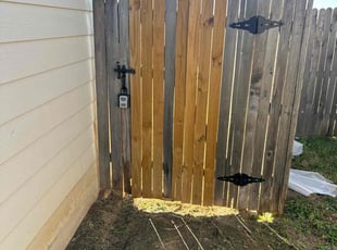 Kyam G.'s lawn care service result