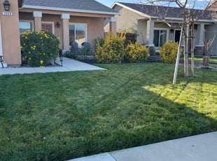 Michael D.'s turf maintenance service result