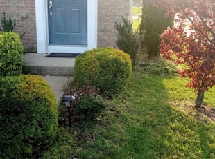 Melissa R.'s Bush Trimming service result