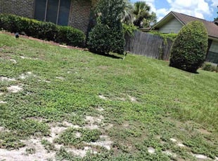 Kevin K.'s Bush Trimming service result