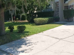 Kelly H.'s grass maintenance service result