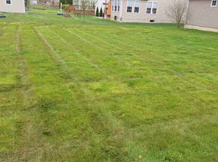 Rickey W.'s lawn care services service result