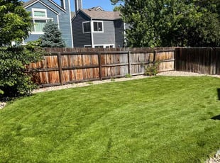 Randy B.'s grass cutting service result