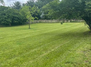 Alexys H.'s yard work service result