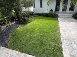 Michael G.'s lawn care service result