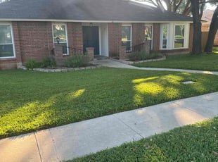 Mark S.'s grass maintenance service result