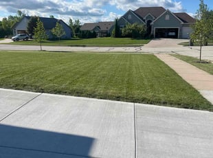 Colleen O.'s turf care service result