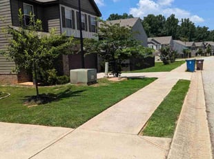 Lori N.'s yard care service result