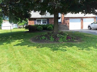 Kim J.'s gardening service service result