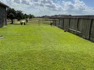 Darby F.'s lawn maintenance service result