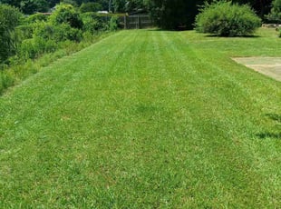 George H.'s turf maintenance service result