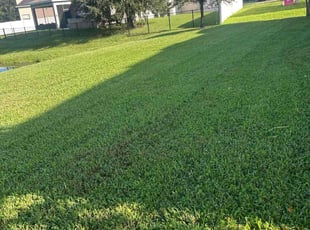 David B.'s turf maintenance service result