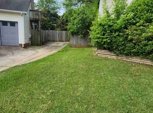 Amber D.'s lawn care service result