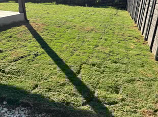 Robert S.'s lawn care services service result
