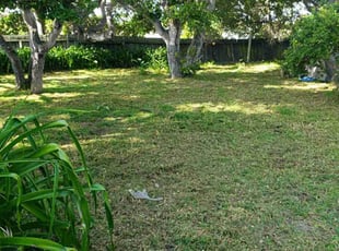 Ian K.'s lawn maintenance service result