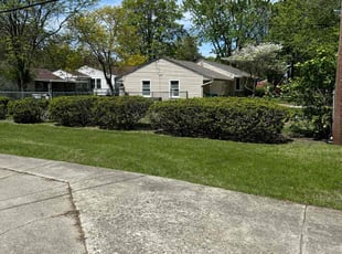 Lexie S.'s grass cutting service result