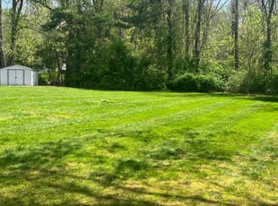 Lauranne B.'s turf maintenance service result