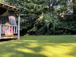 Larry N.'s grass maintenance service result