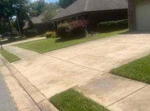 Jeremy B.'s lawn care service result
