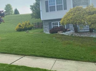 Justin E.'s lawn maintenance service result