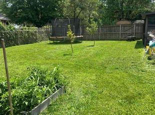 Amanda J.'s lawn maintenance service result