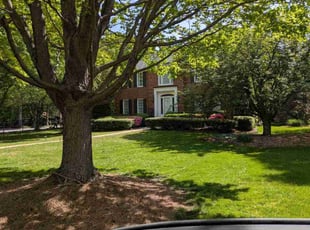 Pat R.'s lawn care service result