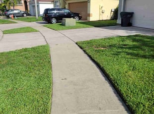 Barbara A.'s grass cutting service result